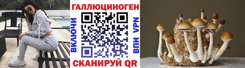 блэк спрут зеркало  Рошаль  Псилоцибиновые грибы ЛСД 